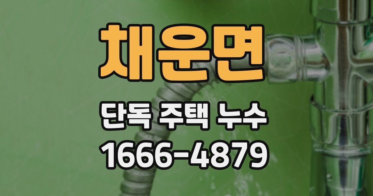 채운면 단독 주택 누수