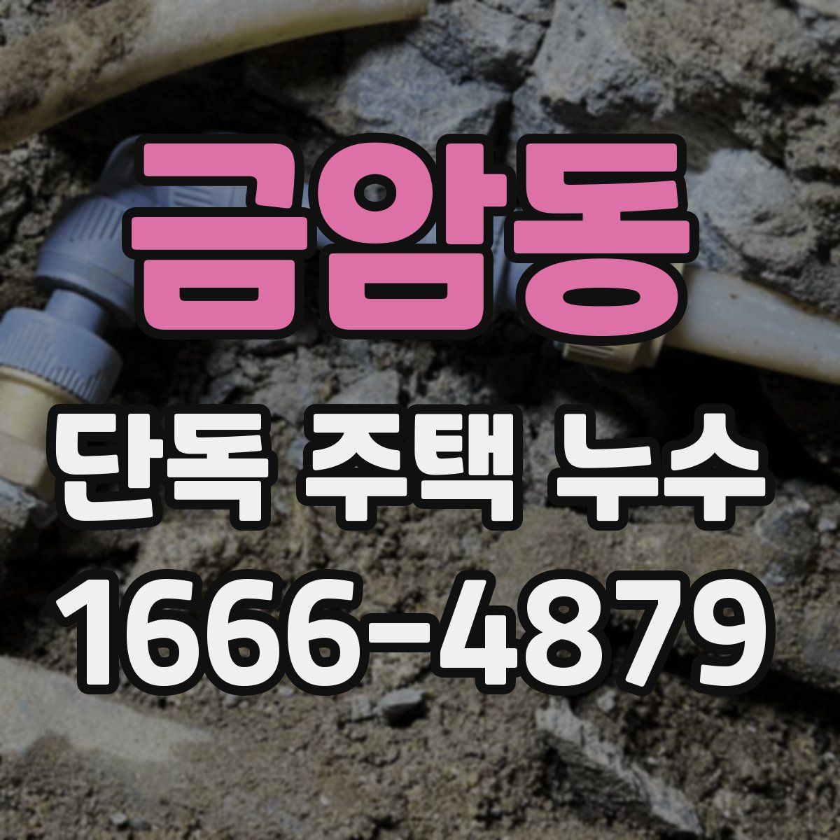 금암동 단독 주택 누수