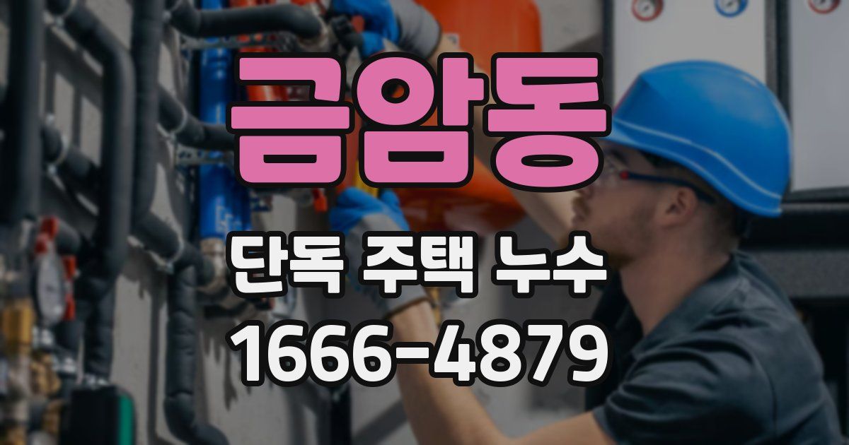 금암동 단독 주택 누수