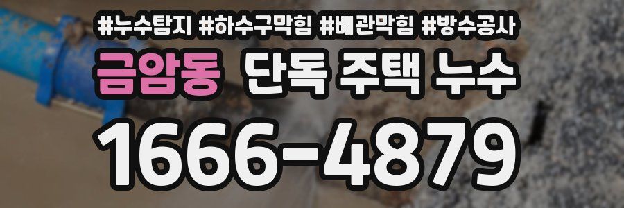 금암동 단독 주택 누수