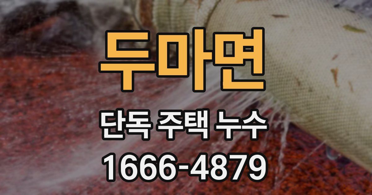 두마면 단독 주택 누수