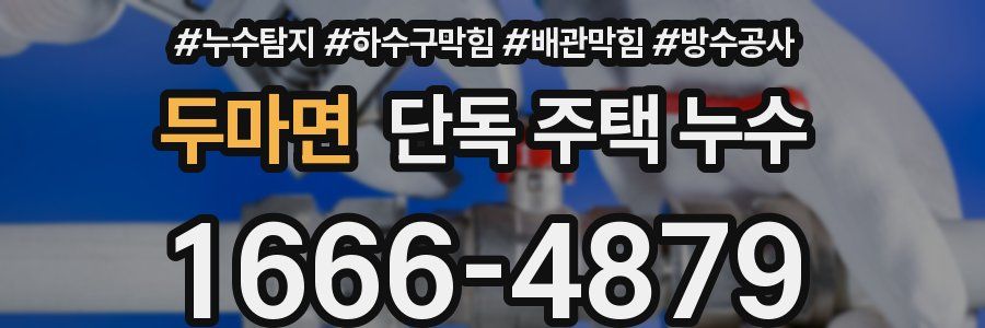 두마면 단독 주택 누수