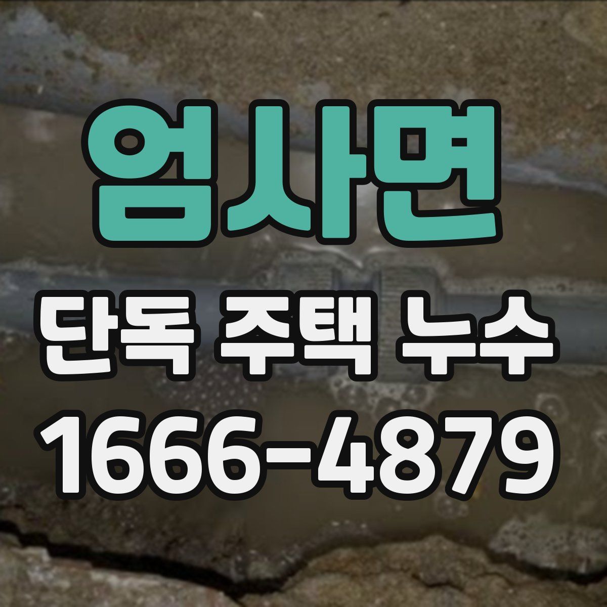 엄사면 단독 주택 누수