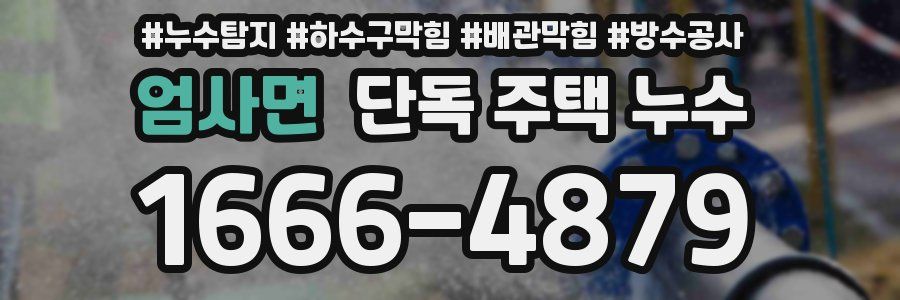 엄사면 단독 주택 누수
