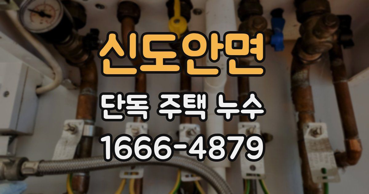 신도안면 단독 주택 누수