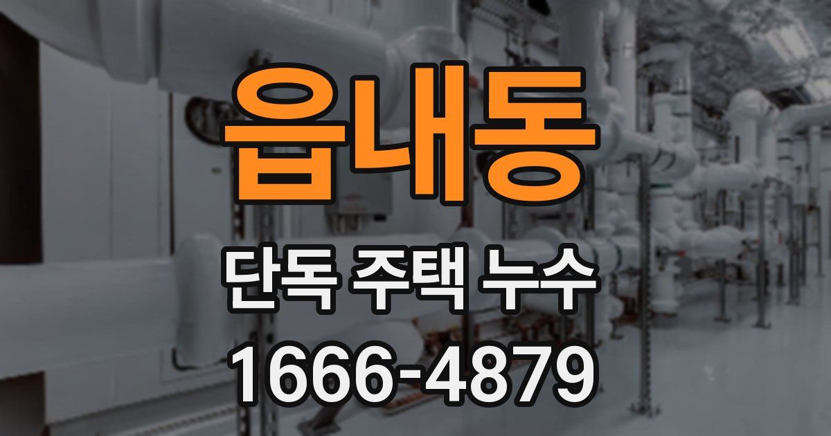 읍내동 단독 주택 누수