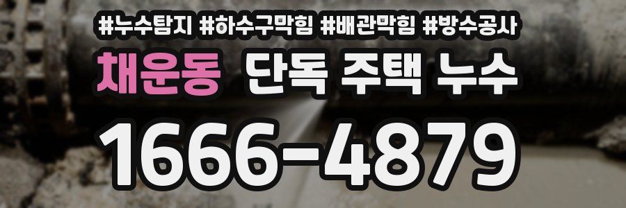 채운동 단독 주택 누수