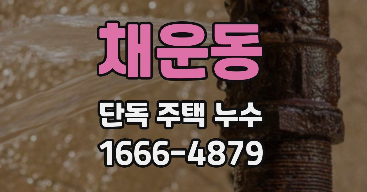 채운동 단독 주택 누수
