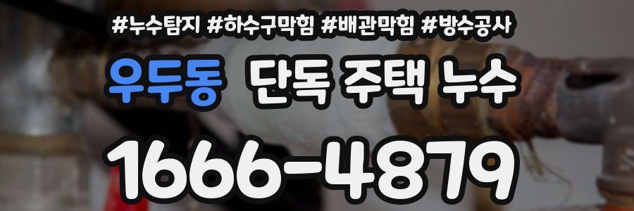 우두동 단독 주택 누수