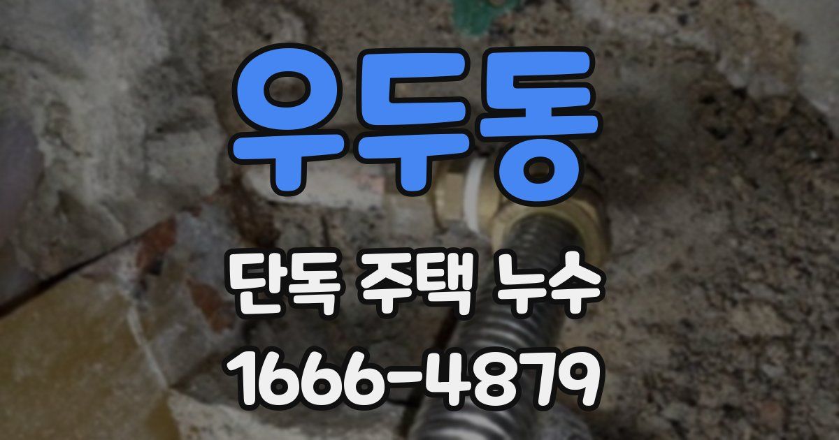 우두동 단독 주택 누수