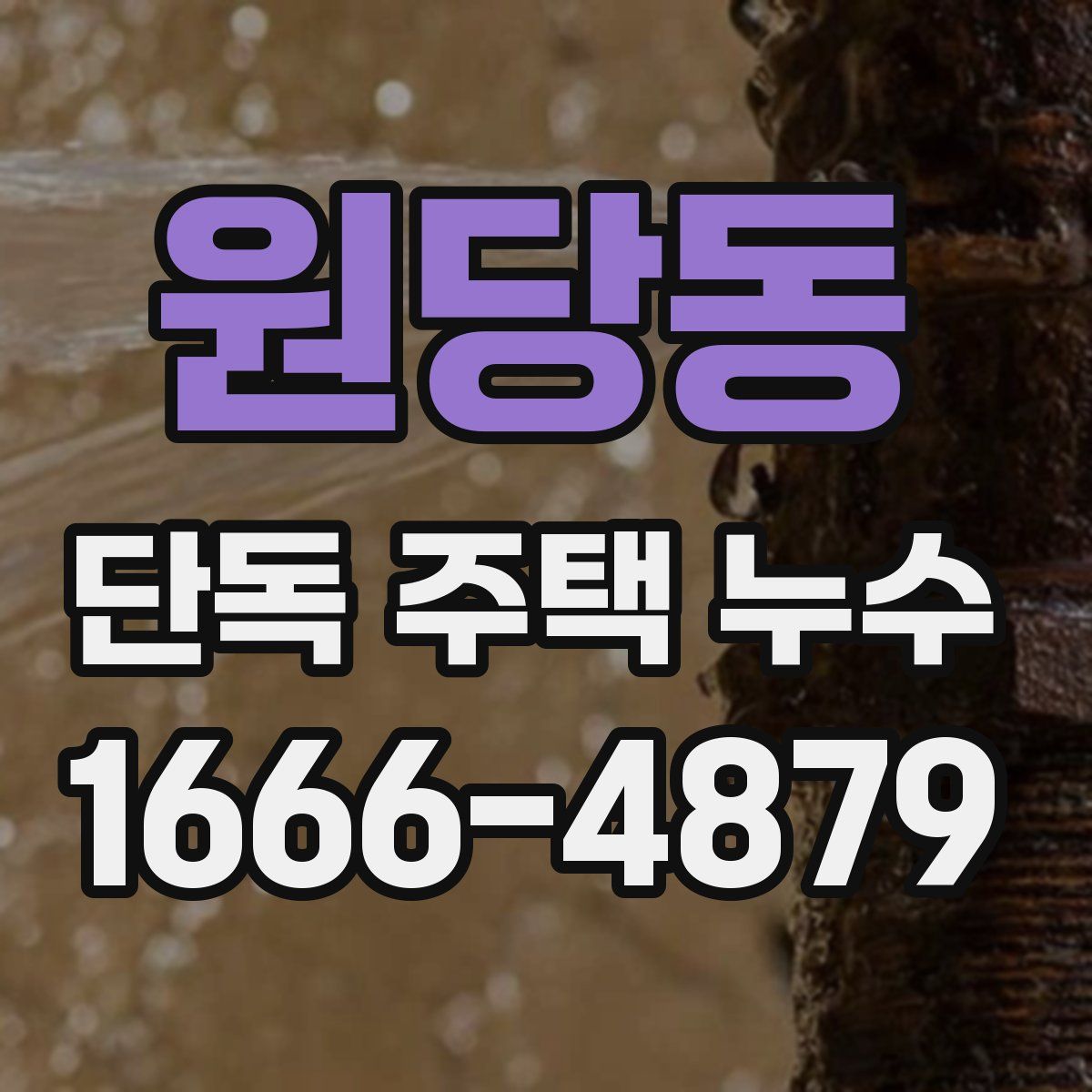원당동 단독 주택 누수