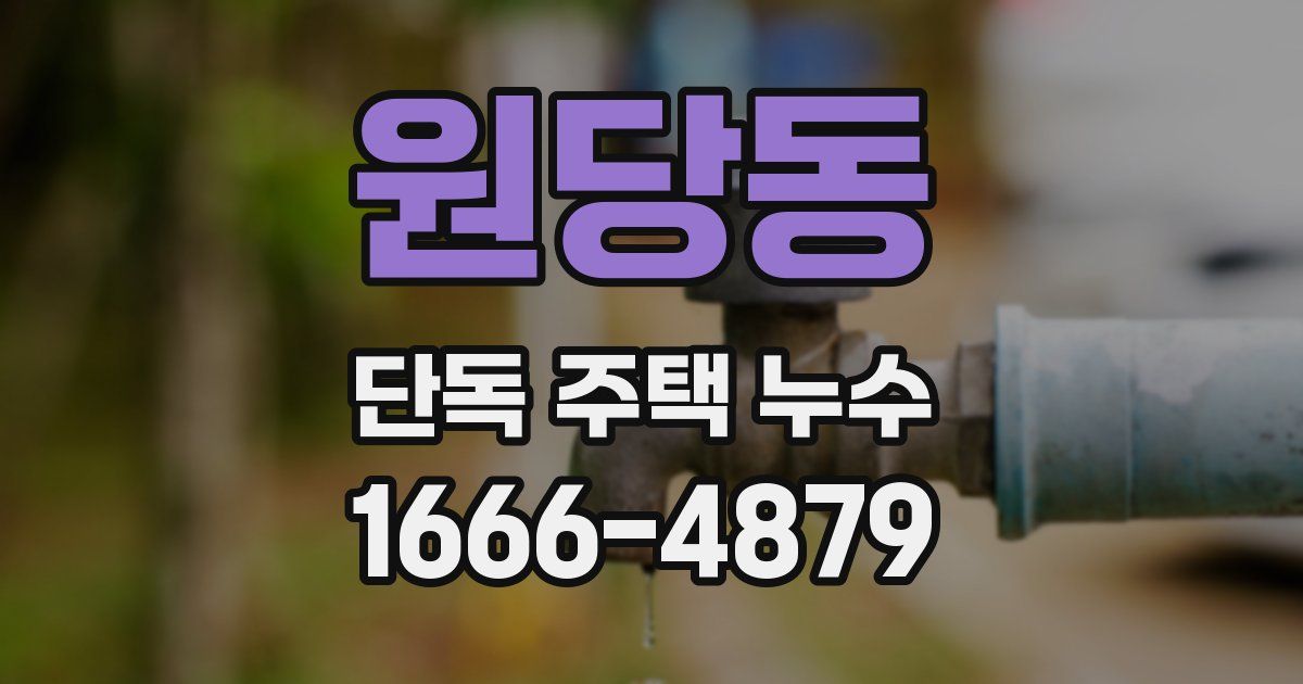 원당동 단독 주택 누수