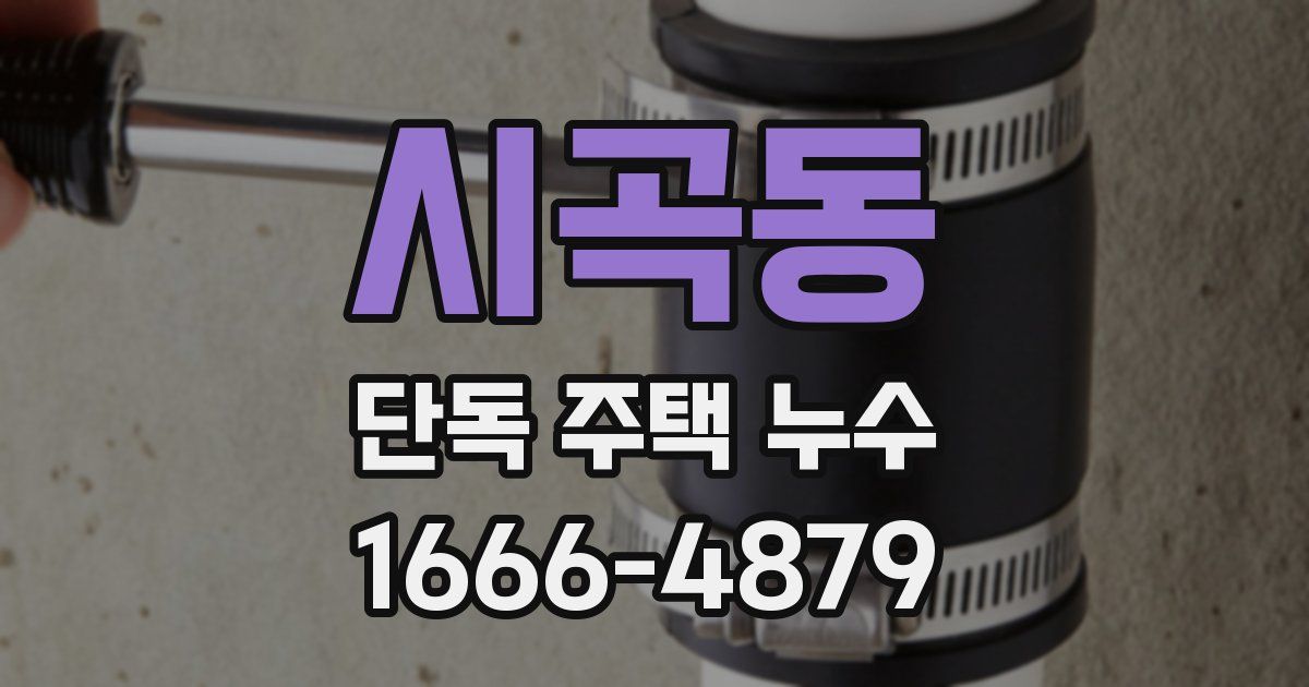 시곡동 단독 주택 누수