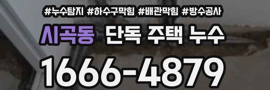시곡동 단독 주택 누수