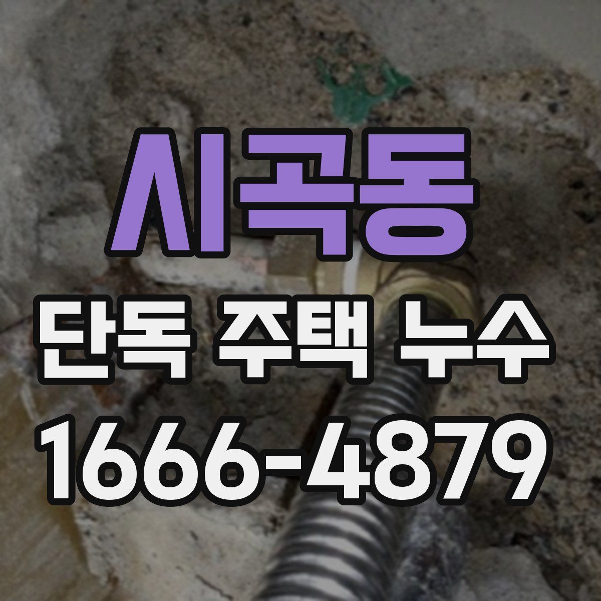 시곡동 단독 주택 누수