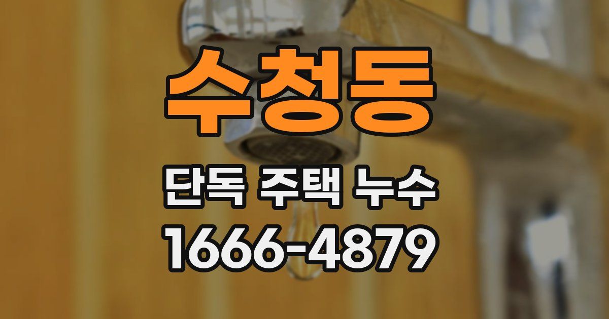 수청동 단독 주택 누수
