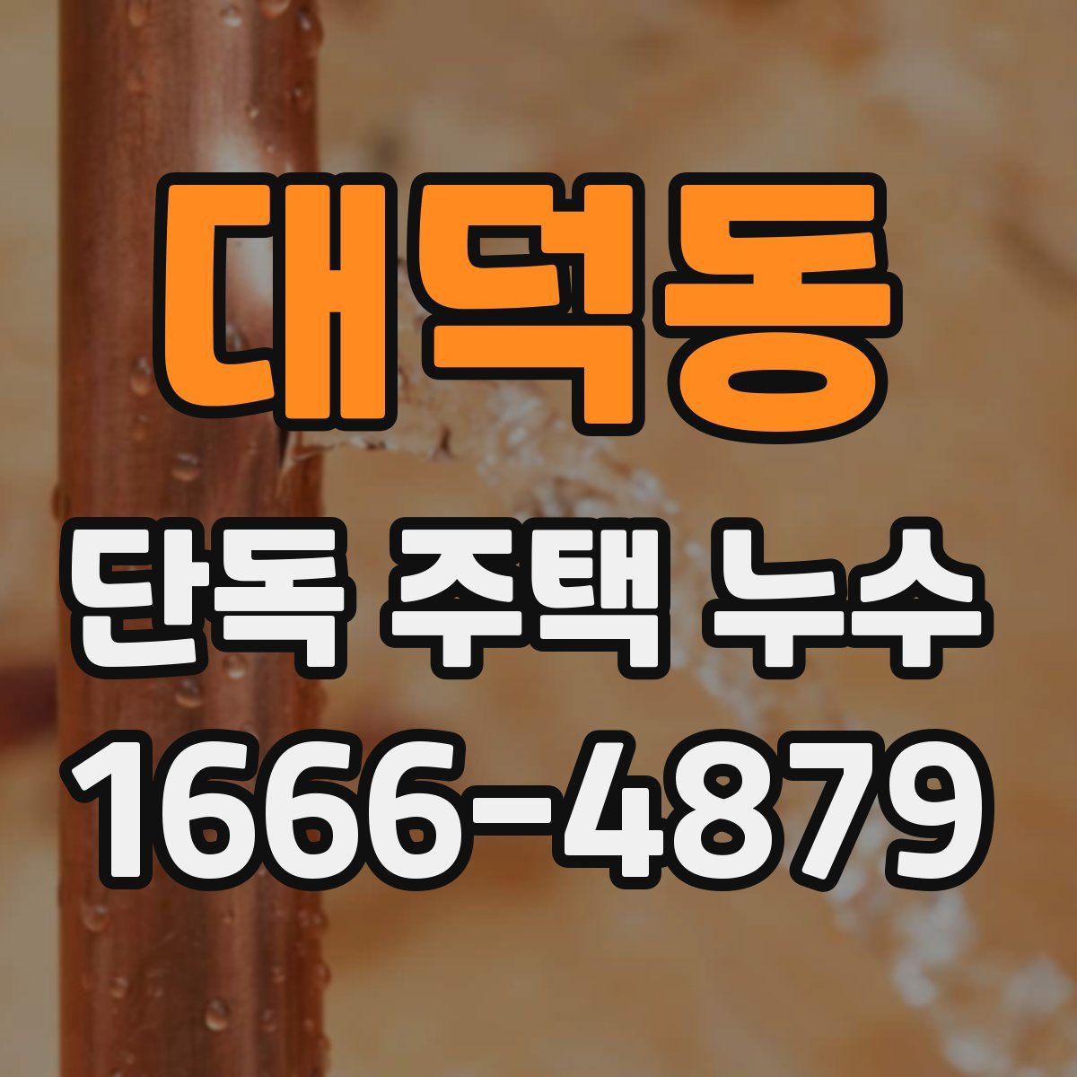 대덕동 단독 주택 누수