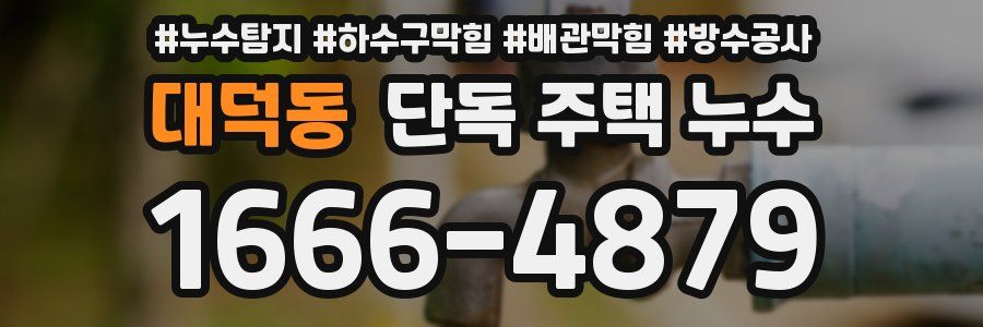 대덕동 단독 주택 누수