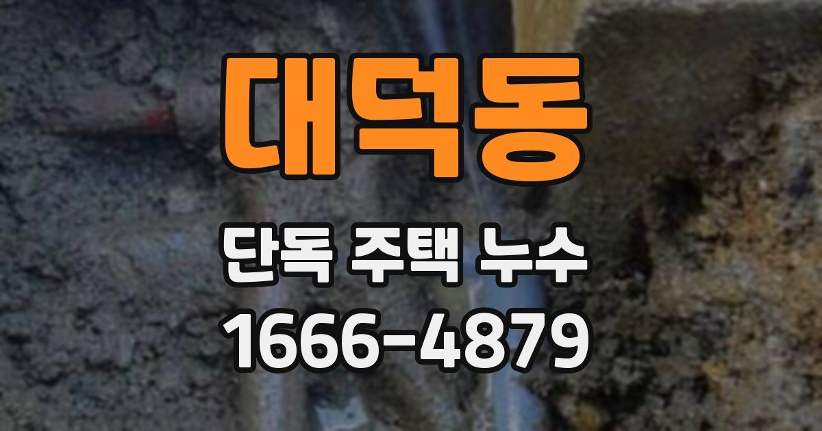 대덕동 단독 주택 누수