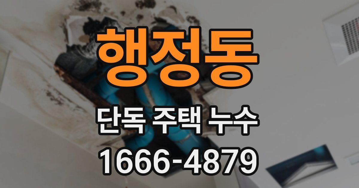 행정동 단독 주택 누수