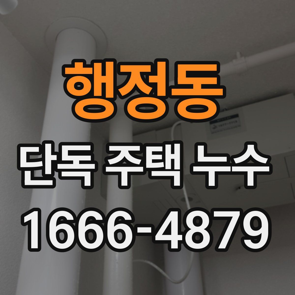 행정동 단독 주택 누수