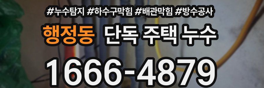 행정동 단독 주택 누수
