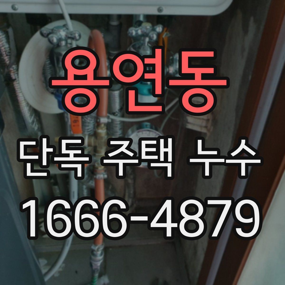 용연동 단독 주택 누수 진단 결과를 해석하는 법