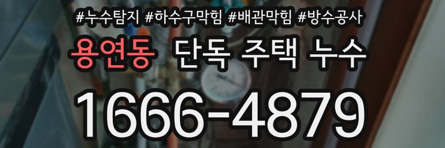 용연동 단독 주택 누수