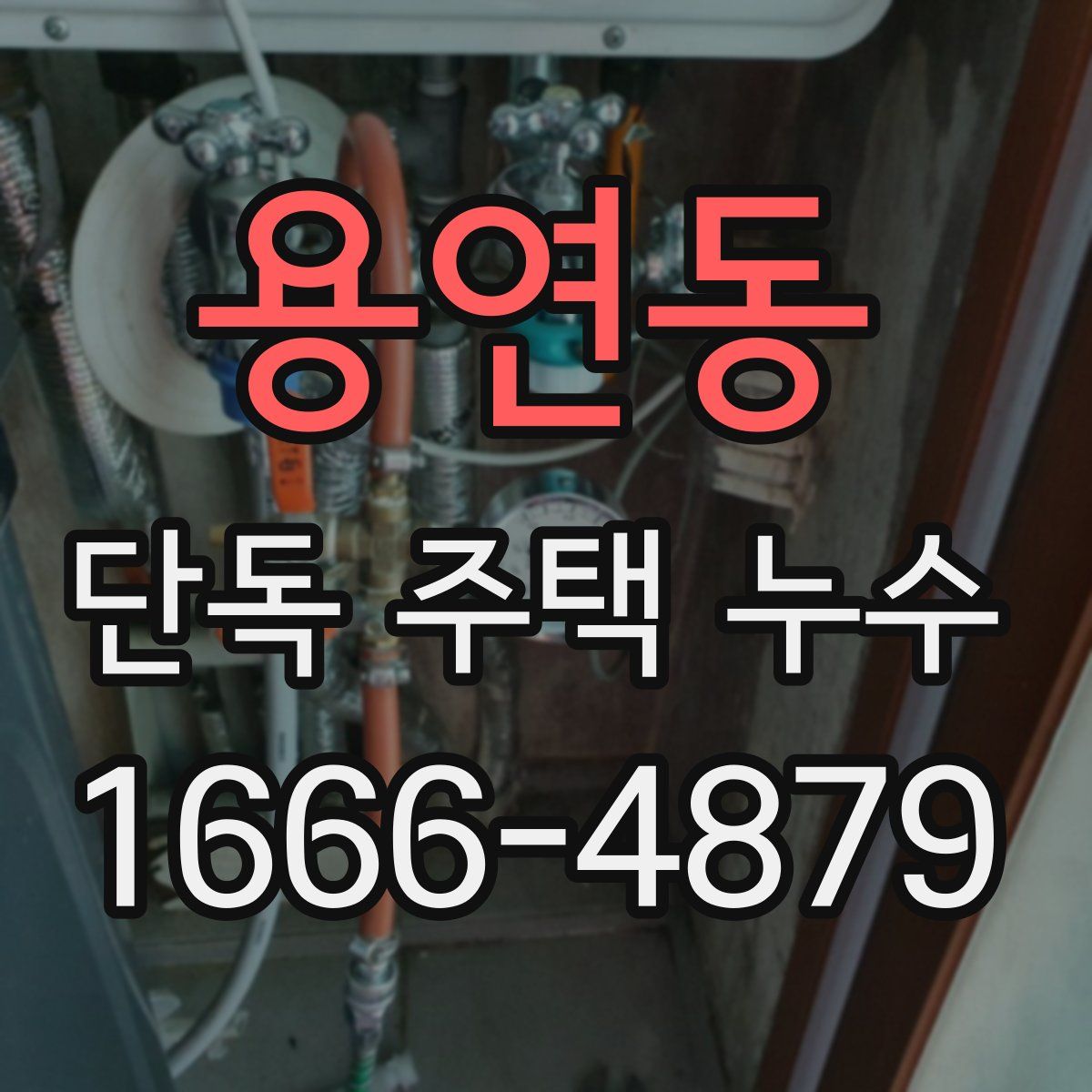 용연동 단독 주택 누수