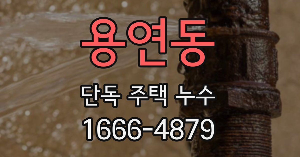 용연동 단독 주택 누수