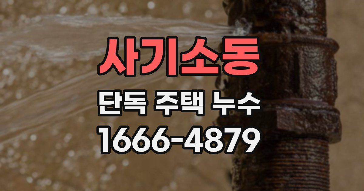 사기소동 단독 주택 누수