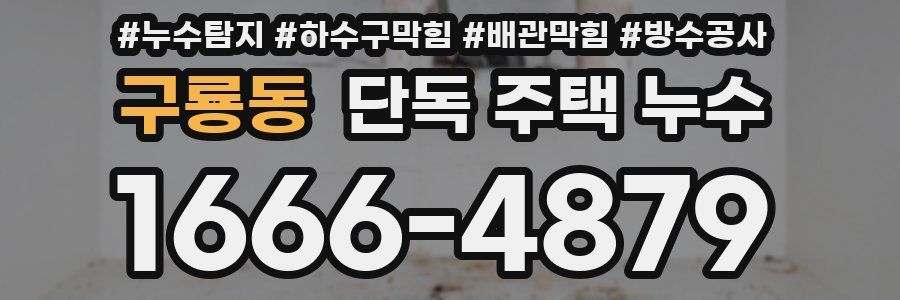 구룡동 단독 주택 누수