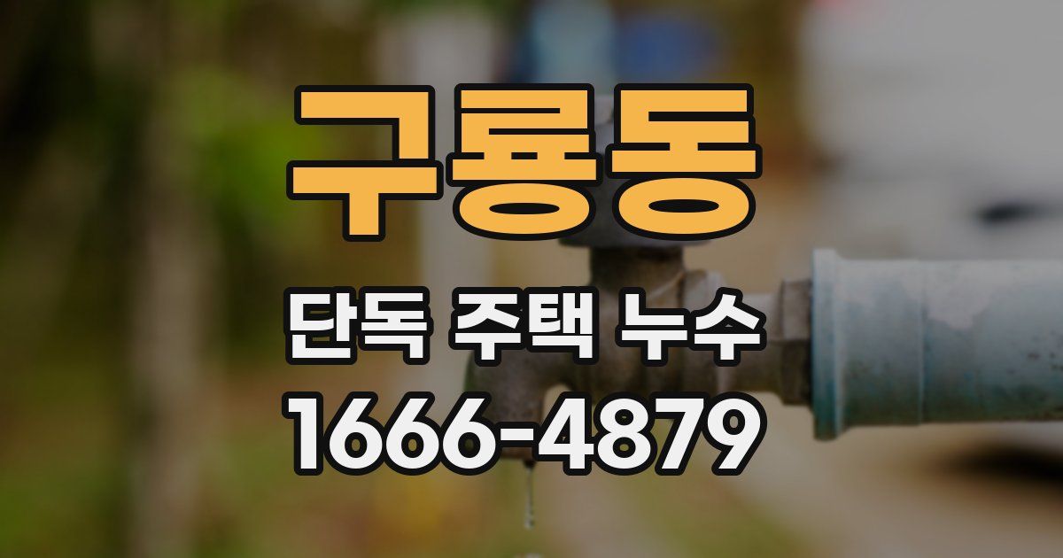 구룡동 단독 주택 누수