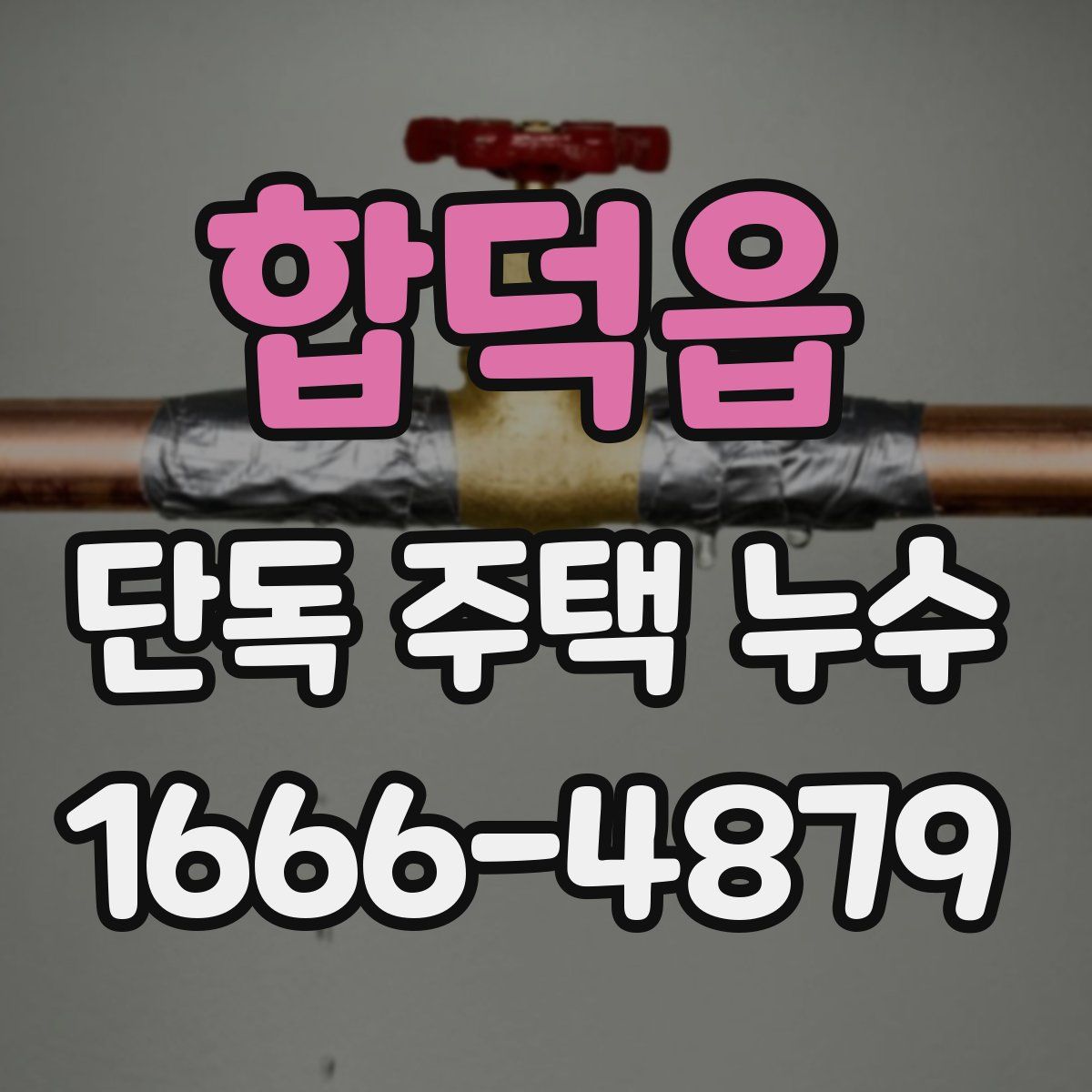 합덕읍 단독 주택 누수