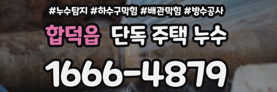 합덕읍 단독 주택 누수