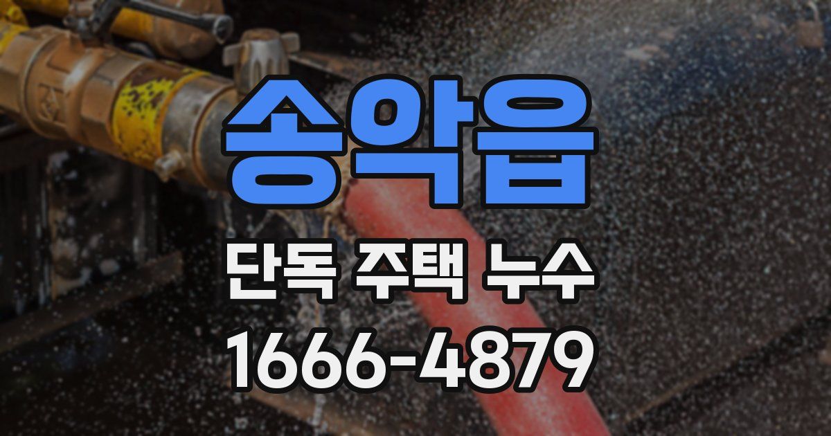 송악읍 단독 주택 누수