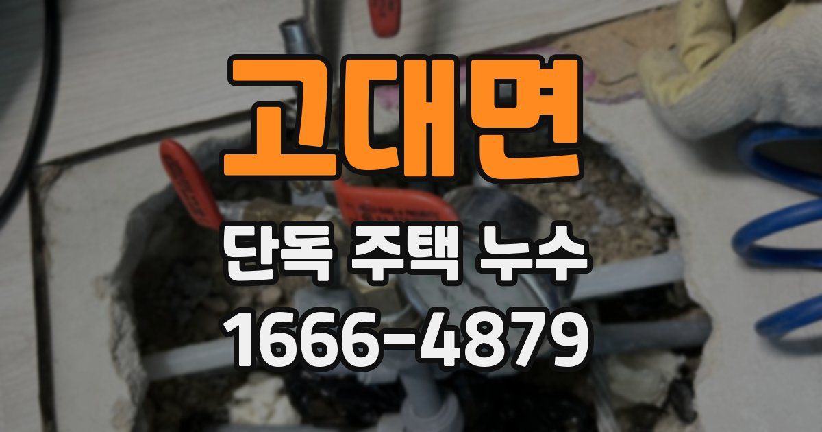 고대면 단독 주택 누수