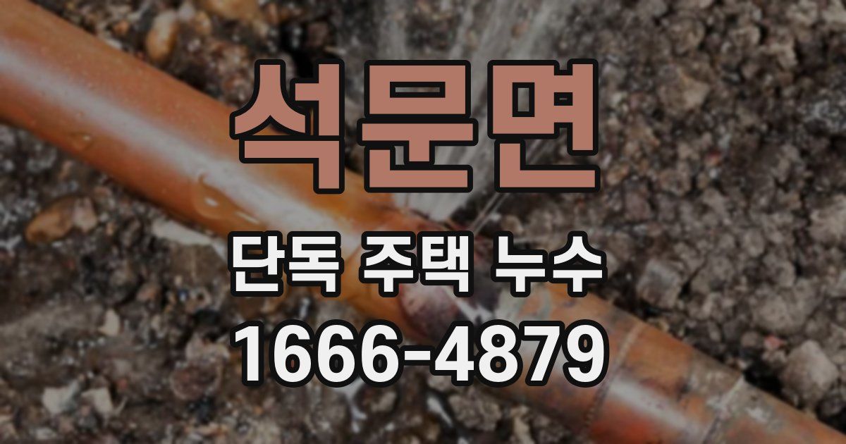 석문면 단독 주택 누수