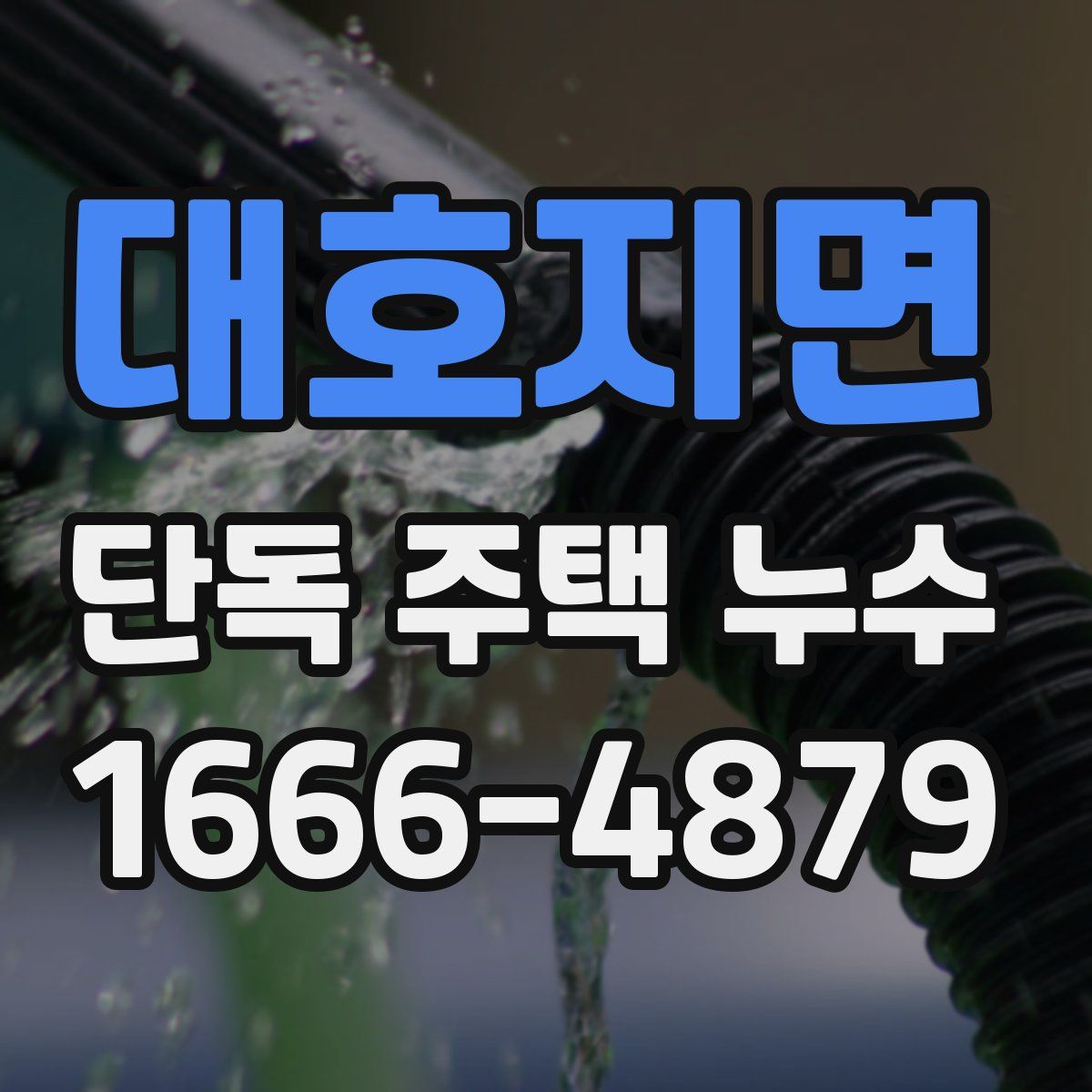 대호지면 단독 주택 누수