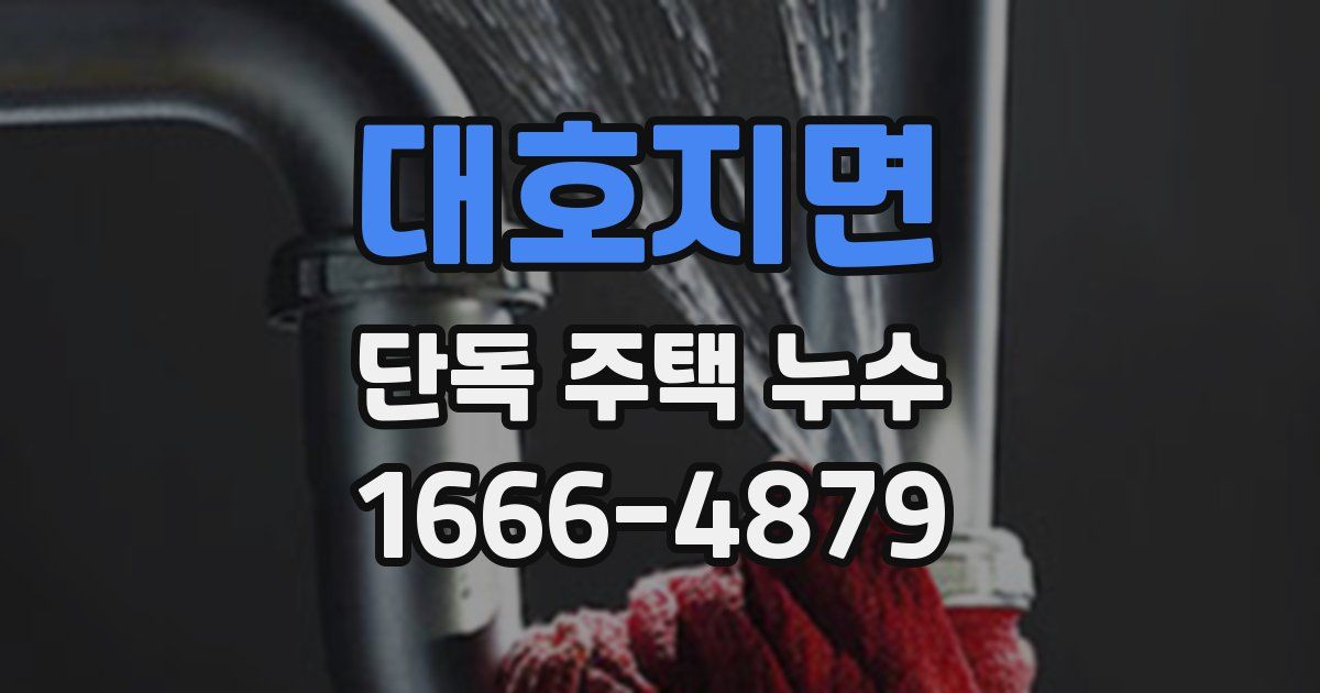 대호지면 단독 주택 누수