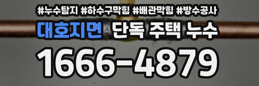 대호지면 단독 주택 누수
