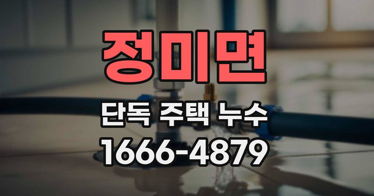 정미면 단독 주택 누수