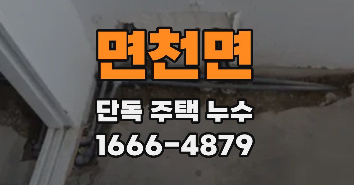 면천면 단독 주택 누수