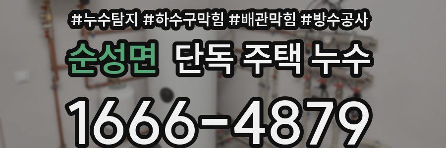 순성면 단독 주택 누수