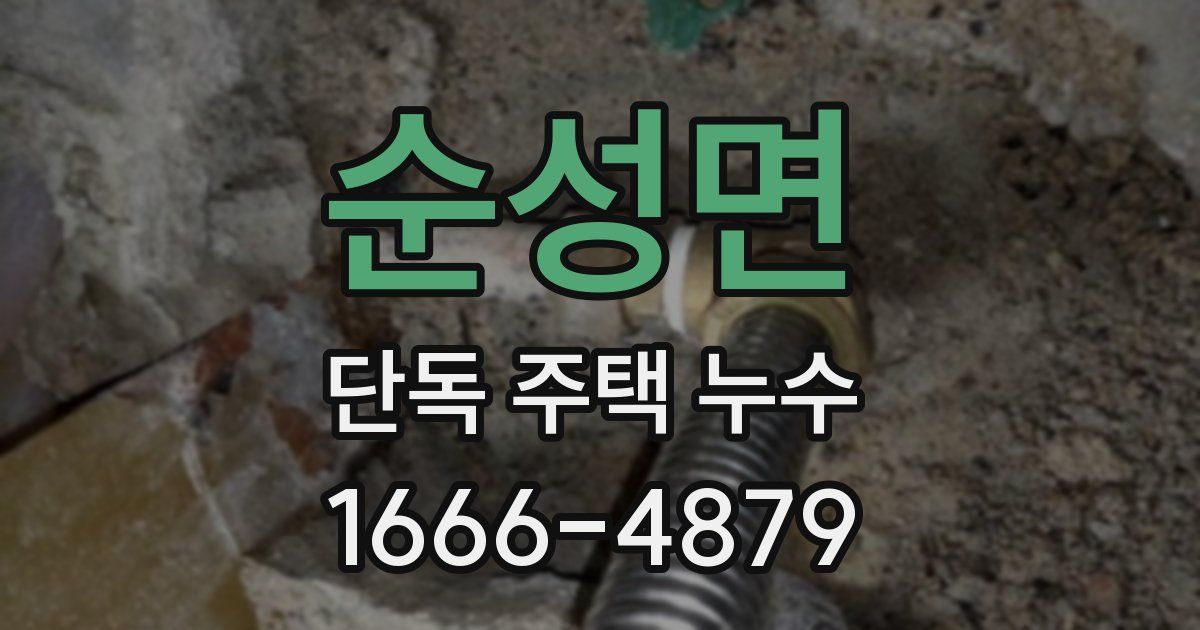 순성면 단독 주택 누수