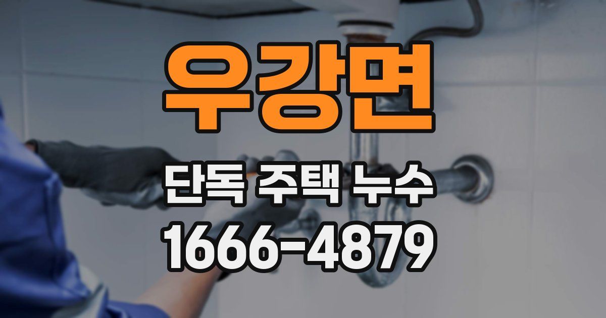 우강면 단독 주택 누수