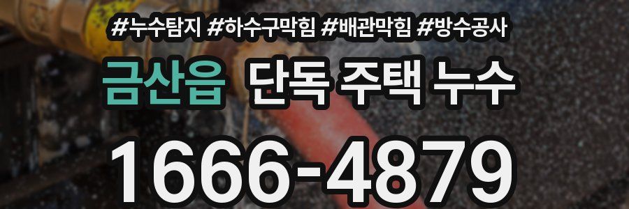 금산읍 단독 주택 누수
