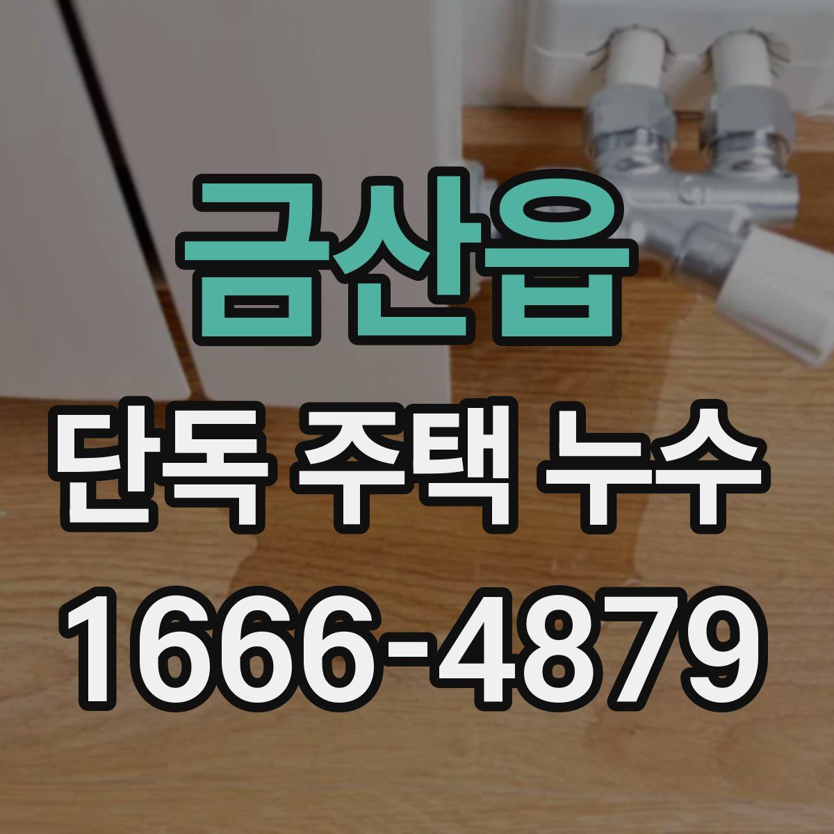 금산읍 단독 주택 누수