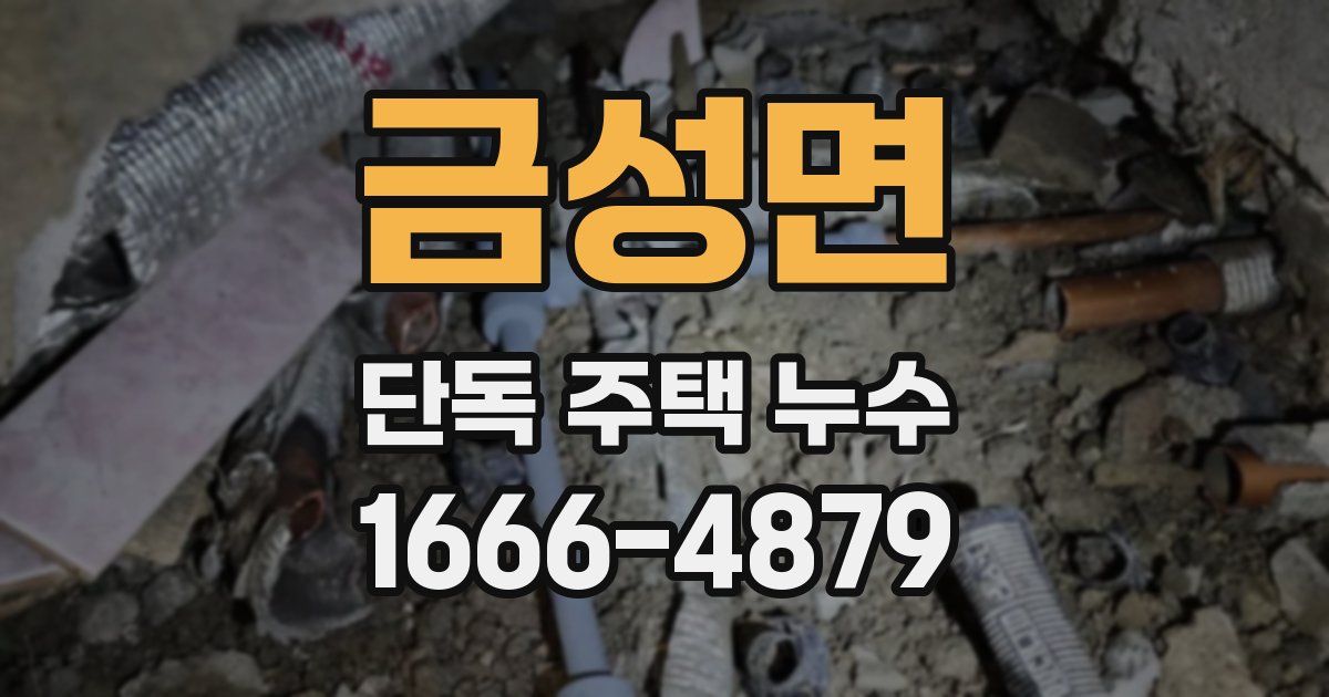 금성면 단독 주택 누수