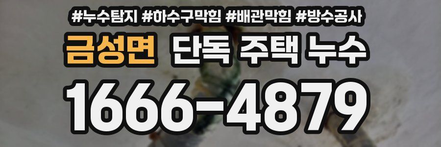 금성면 단독 주택 누수